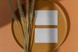 北欧风正反面场景名片样机