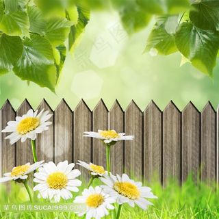 春天背景设计素材