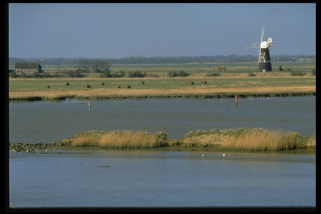 风车河滩图片下载