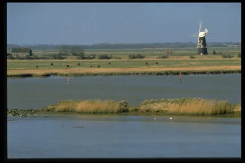 风车河滩图片下载