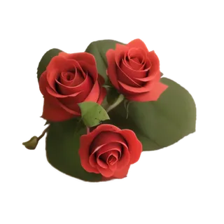 三朵玫瑰花免扣素材