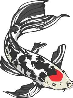 锦鲤图片PNG 锦鲤图片PNG