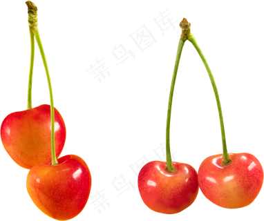 樱桃免抠素材 (35)
