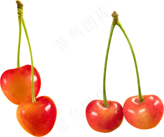 樱桃免抠素材 (35)