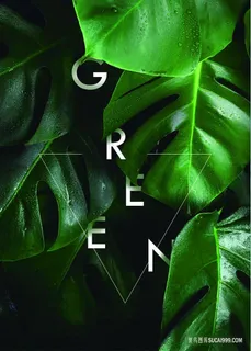 绿叶时尚高清艺术插画