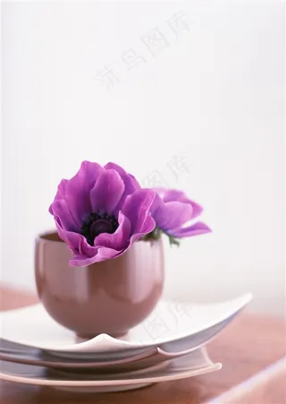 紫色花朵现代简约插花装饰室内家居图片素材