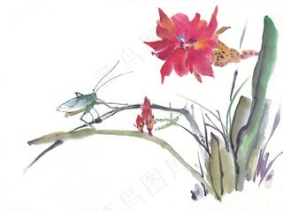 昆虫花草中国画素材