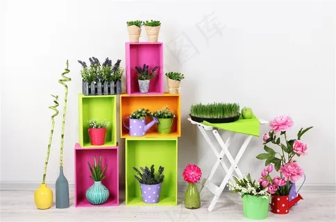 各种小盆景和柜子 各种小盆景和柜子