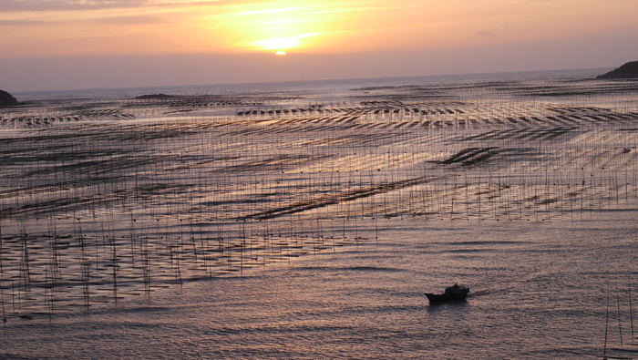 霞浦海边日出波光粼粼海天一色