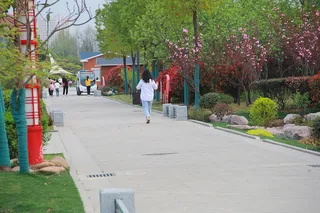 公园道路行人背影