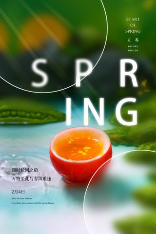 创意立春2月二月春天春季你好24二十四节气广告海报素材设计模板