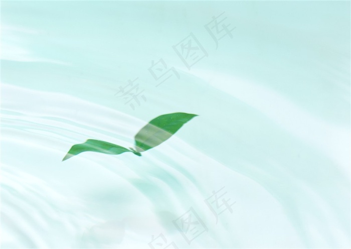 树木风景树林风景素材
