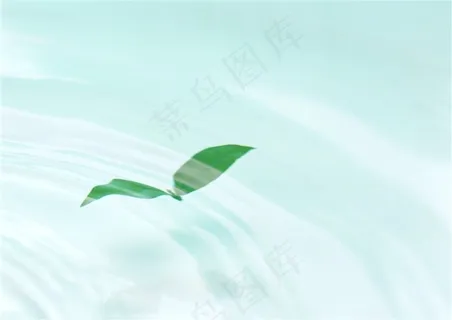 树木风景树林风景素材