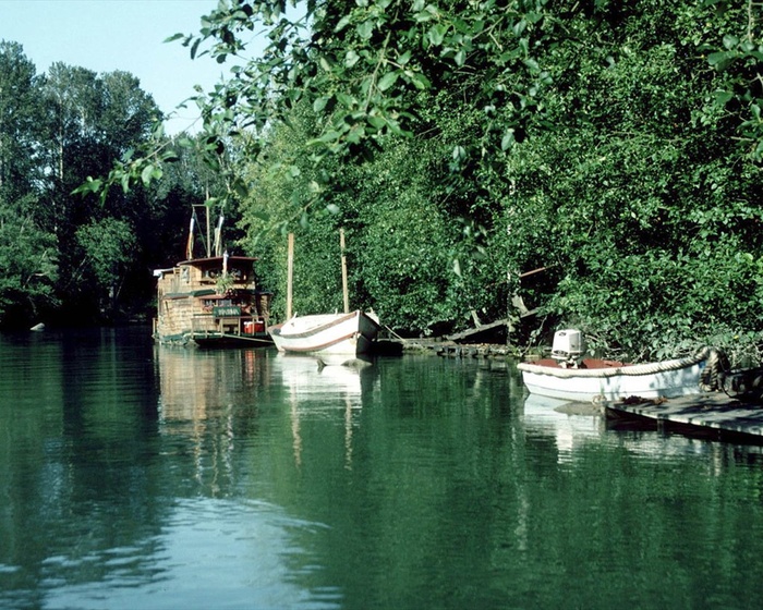 树林边水面上的船只