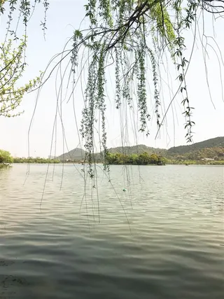 湘湖美景图片