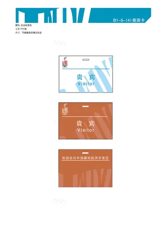 VI系统应用-贵宾卡