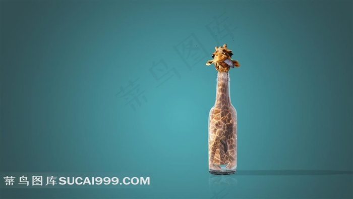 创意的长颈鹿高清图片