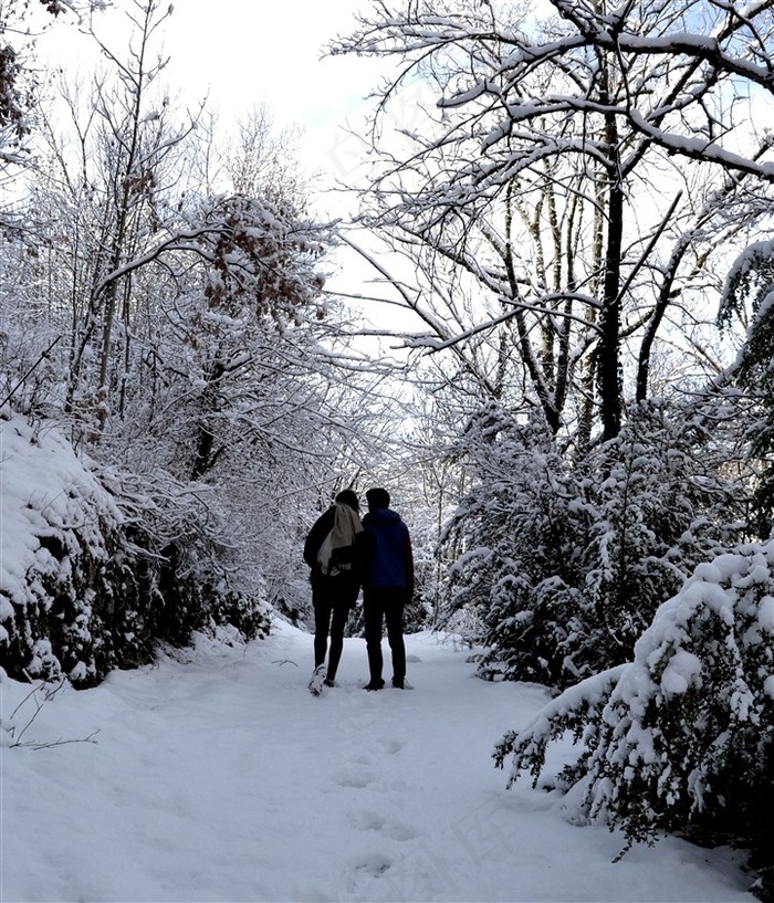 雪中的恋人散步