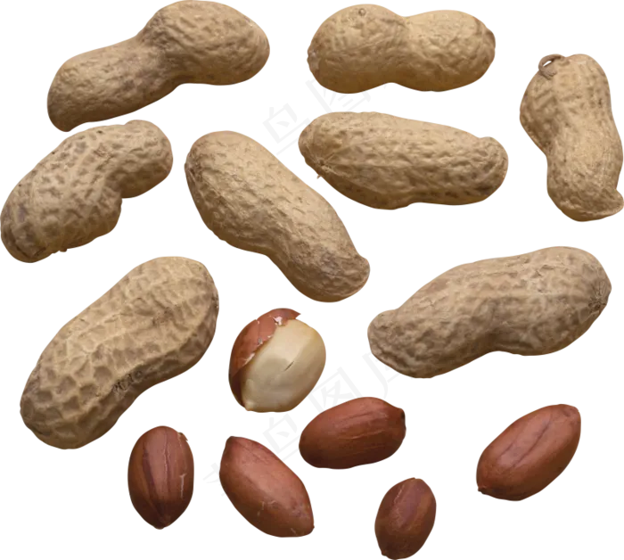 免扣png花生 