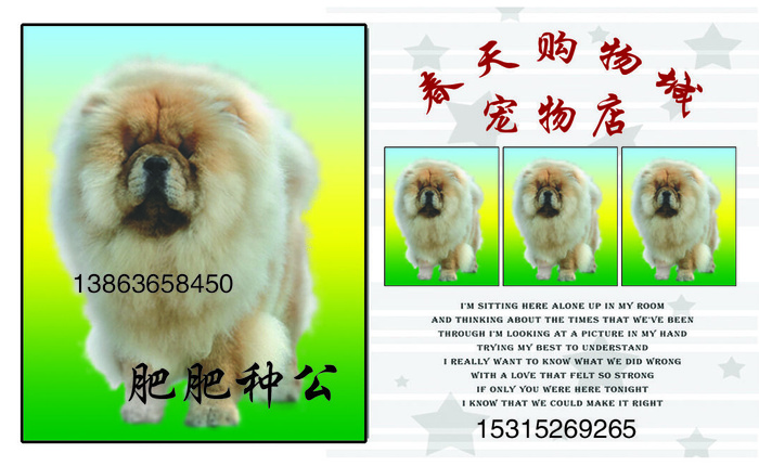 春天购物城宠物正面4630edpsd模版下载
