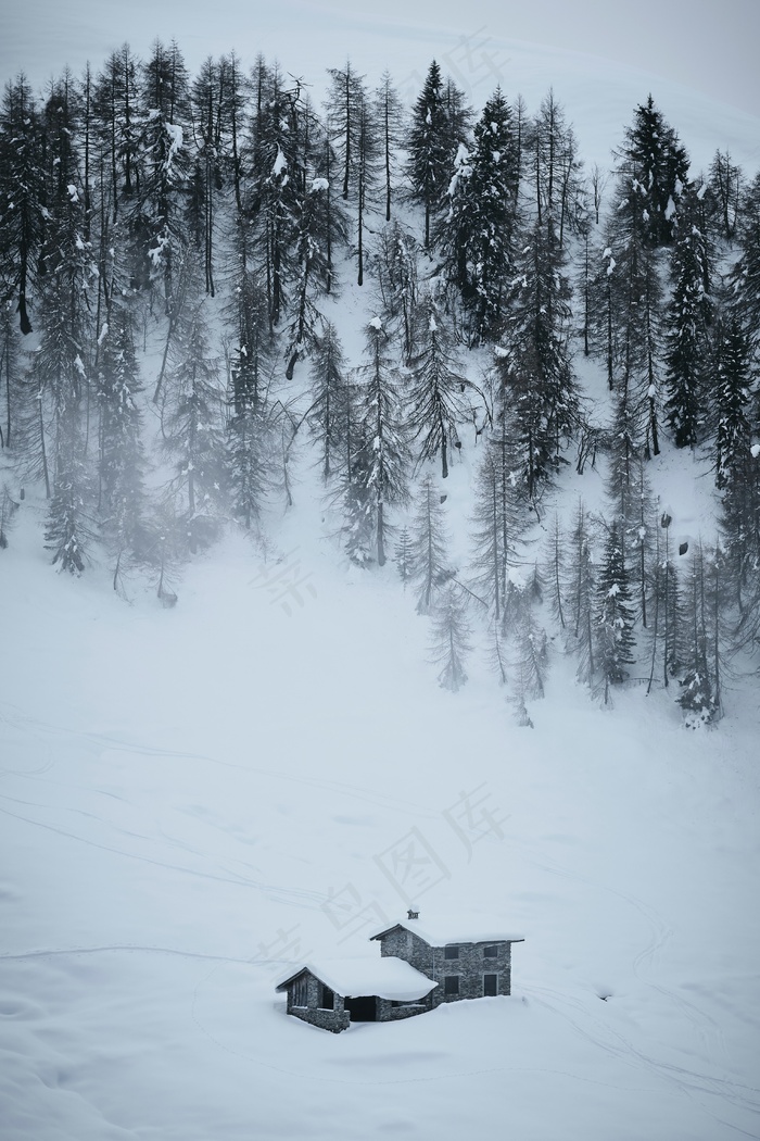 冬季森林雪景图