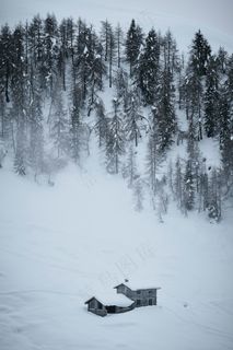 冬季森林雪景图