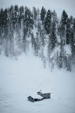冬季森林雪景图