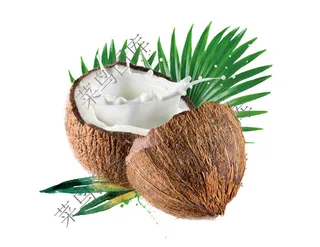 椰子高清图