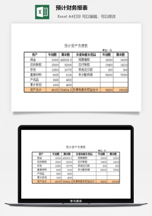 预计财务报表excel模板预览图