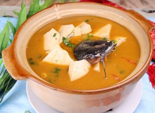 40  老豆腐炖鲶鱼-正定江苏饭店(2006)