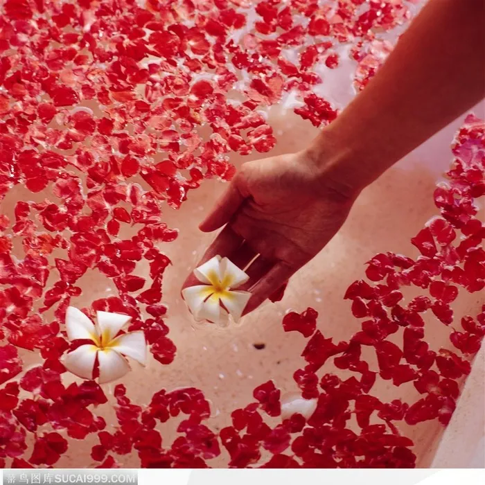 美容SPA（花瓣)