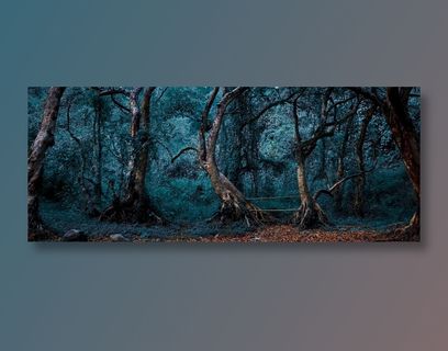 大自然蓝金色调寂静幽暗树林高清大图图片