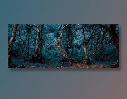 大自然蓝金色调寂静幽暗树林高清大图图片