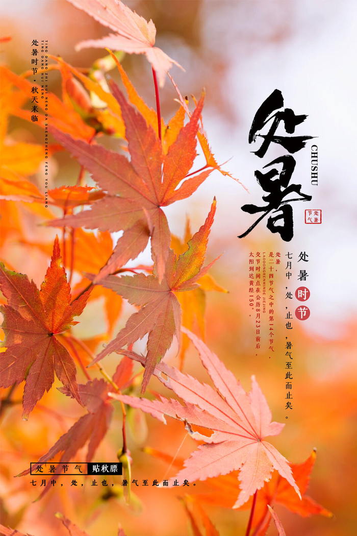 中国传统处暑时节海报psd模版下载