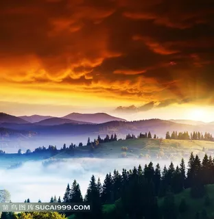 彩云树林图片素材