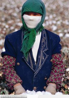 西藏风情-采摘棉花的妇女