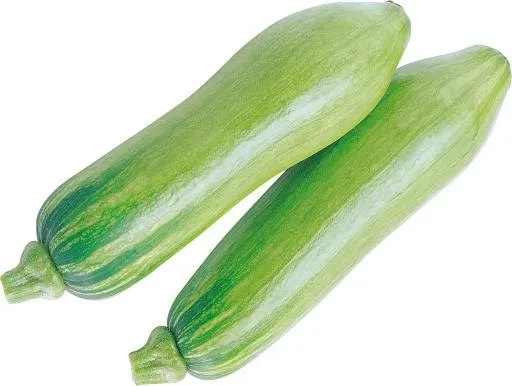 骨髓 PNG免抠(2313x1744)