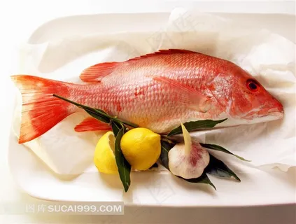 热带鱼高清图片