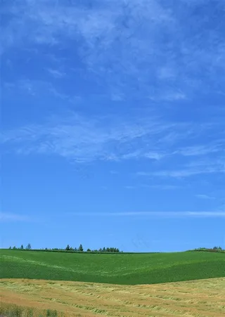 天空下美丽的风景干净摄影图片