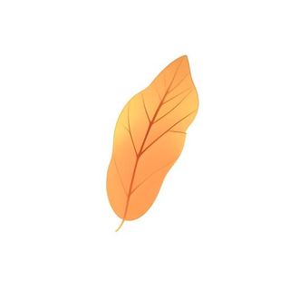 叶子树叶免抠