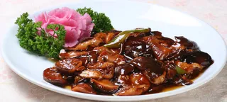 41  香菇烧鱼腩-昭君