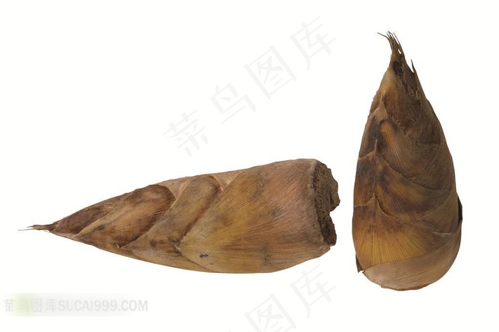 竹笋芦笋高清摄影素材