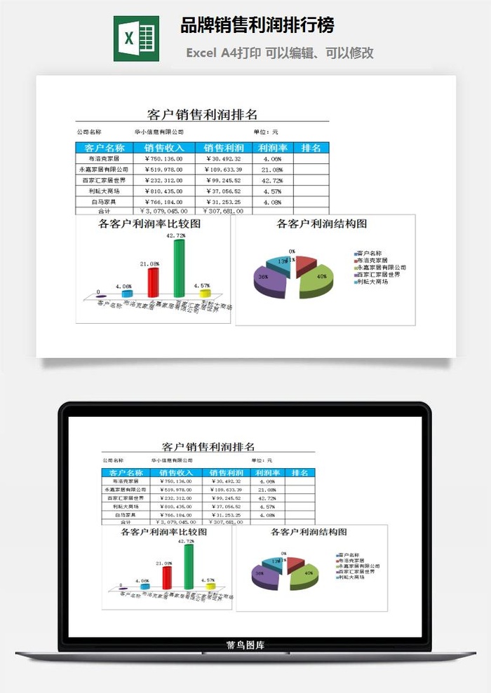 品牌销售利润排行榜excel模板