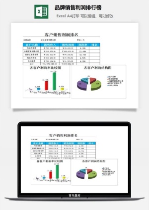 品牌销售利润排行榜excel模板