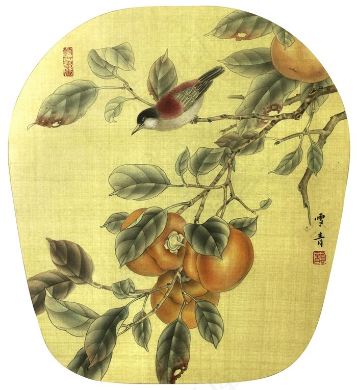 工笔花鸟柿子