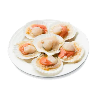 扇贝海鲜超市商品红酒白底图免抠实物摄影png格式图片透明底