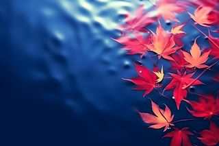 秋叶蓝色水面背景