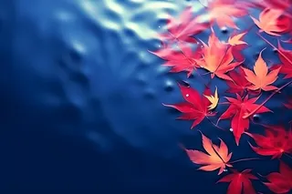 秋叶蓝色水面背景