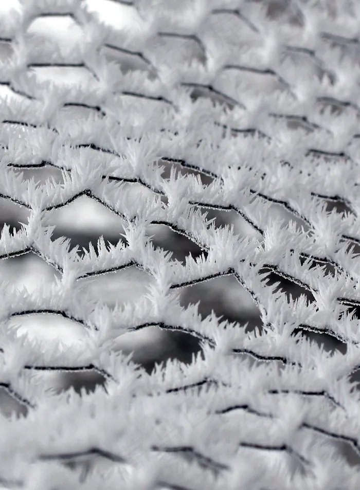丘树木 霜 寒冷的 雪景 景观 风景 风