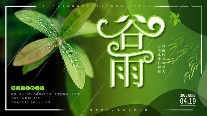 谷雨二十四节气海报设计psd模版下载